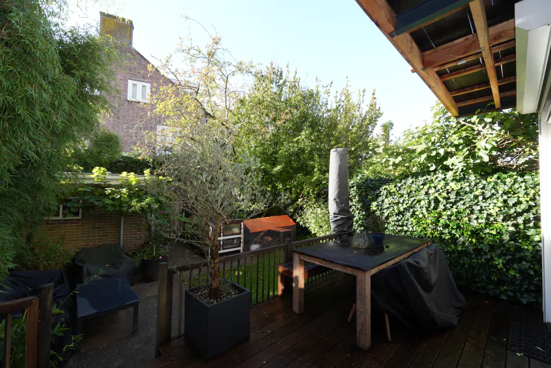 Achtertuin, foto 1