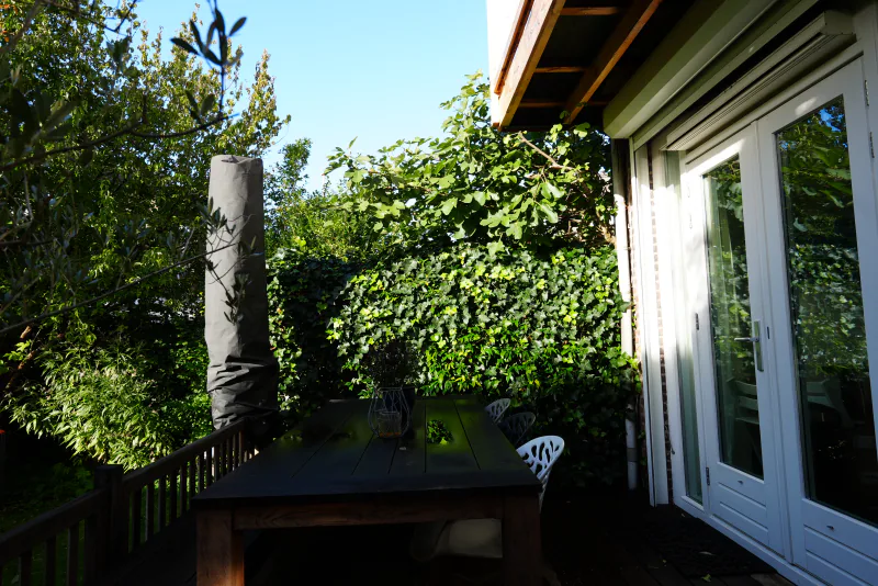 Achtertuin, foto 3