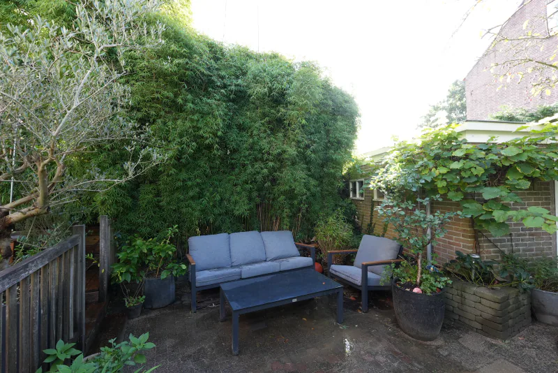 Achtertuin, foto 8