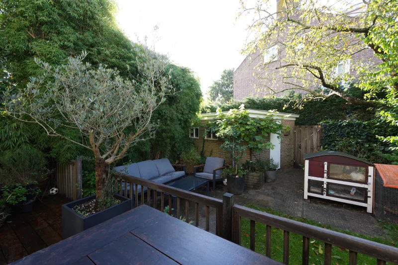Achtertuin, foto 9