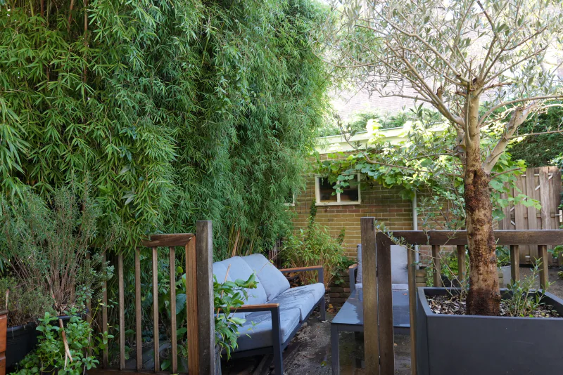 Achtertuin, foto 10
