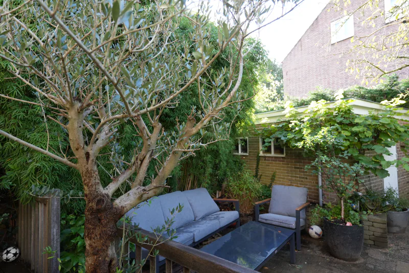 Achtertuin, foto 11