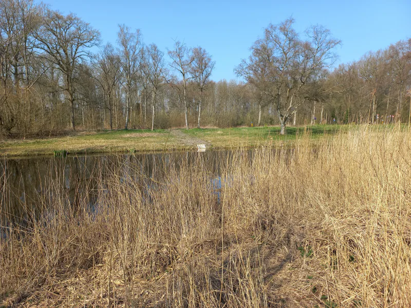 2022 Duiker Nieuwemeerlaan, Amsterdamse Bos.jpg