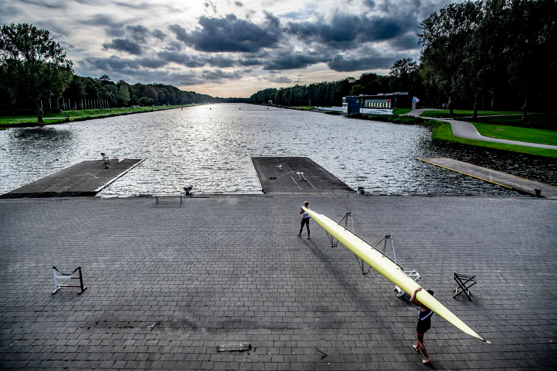 Avond roeiers bosbaan robinutrecht.jpg