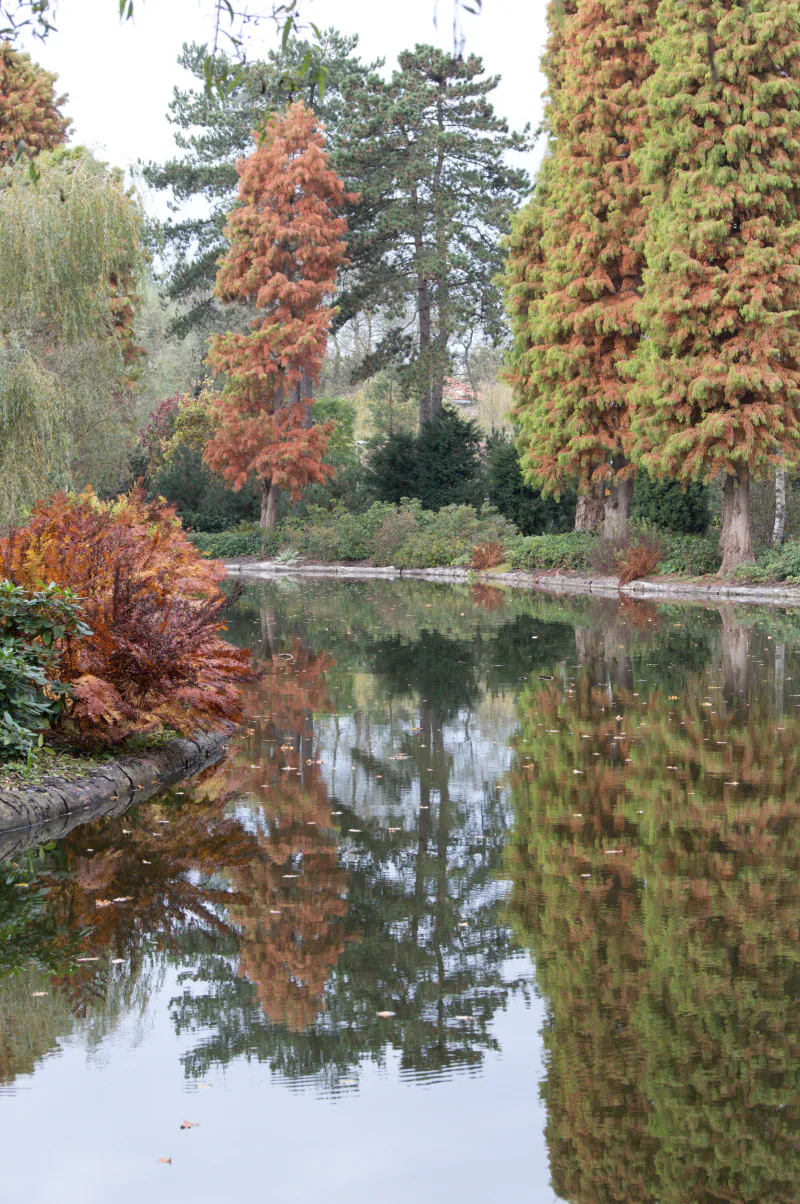 Patrimonium, Amstelveen, Netherlands - panoramio (8).jpg