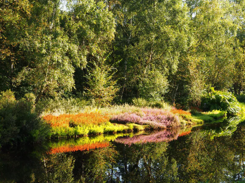 Amstelveen, Thijssepark (15103315466).jpg